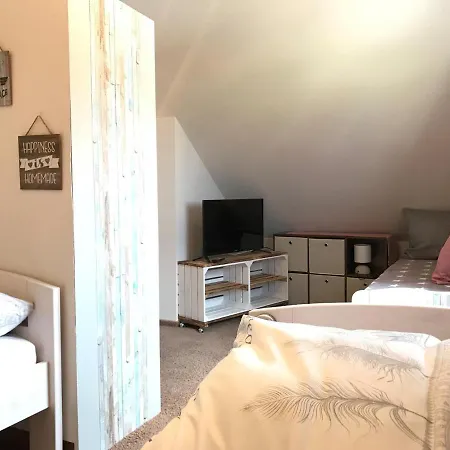 Prázdninový dům Rhoenblick,